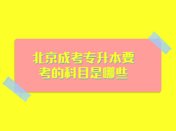 北京成考 北京成考專升本 