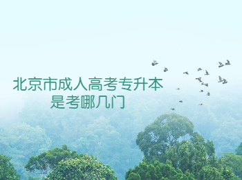 北京市成人高考專升本