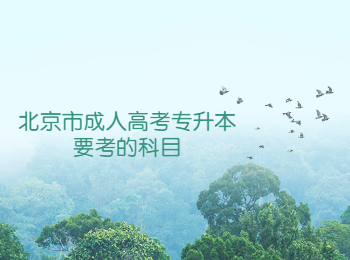 北京市成人高考專升本