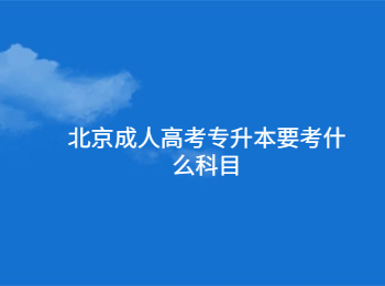 北京成人高考專升本
