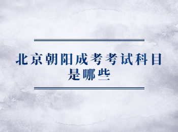 北京朝陽(yáng)成考考試科目