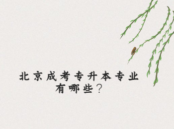 北京成考專升本專業