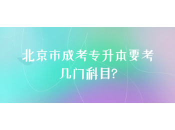 北京市成考專升本 北京市成考