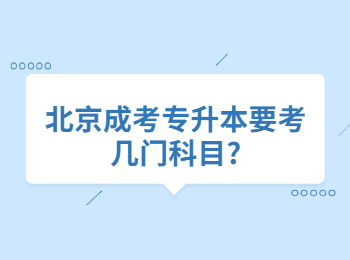 北京成考專升本 北京成考