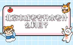 北京市成考專升本考什么科目